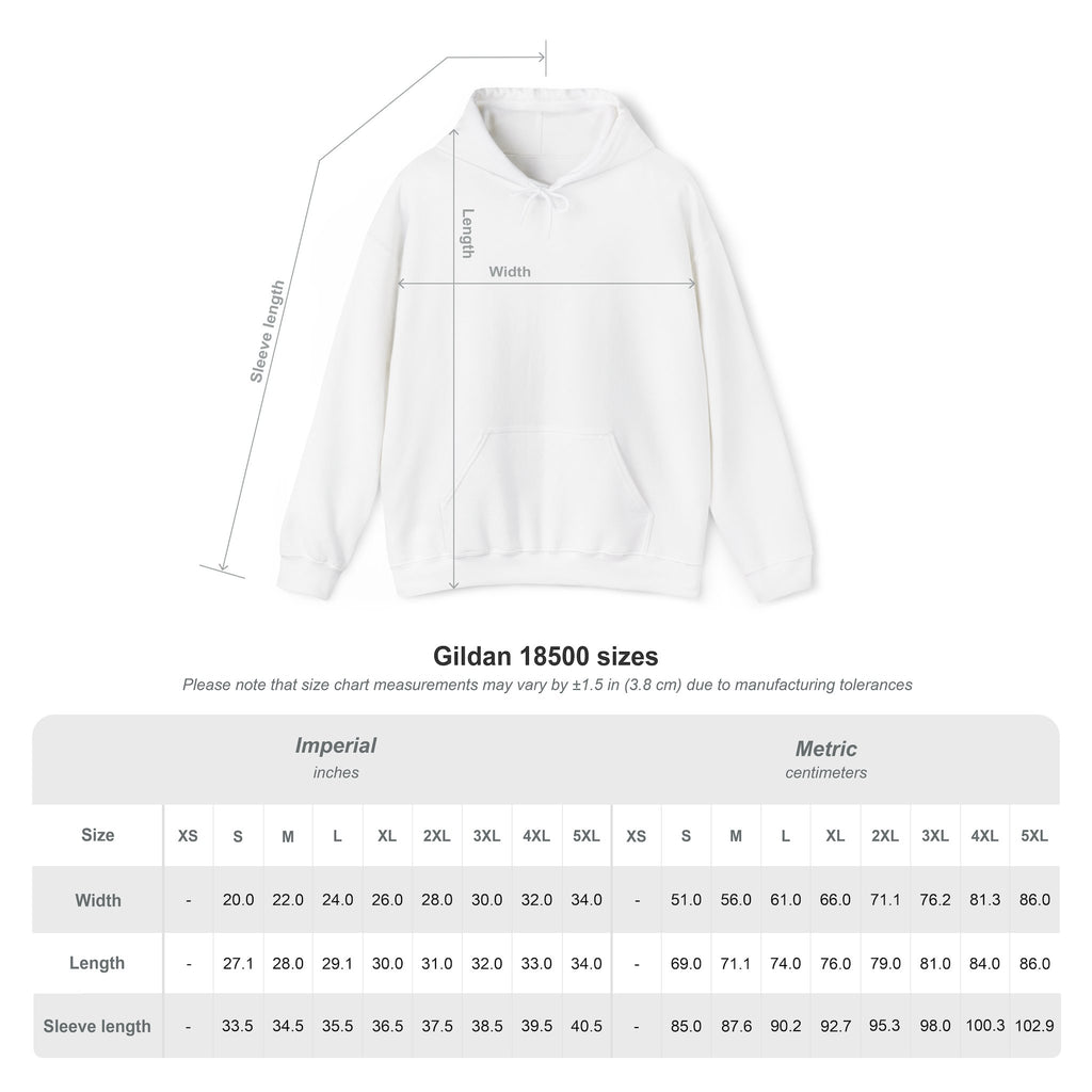 THIRD TERM’S THE CHARM - Hoodie