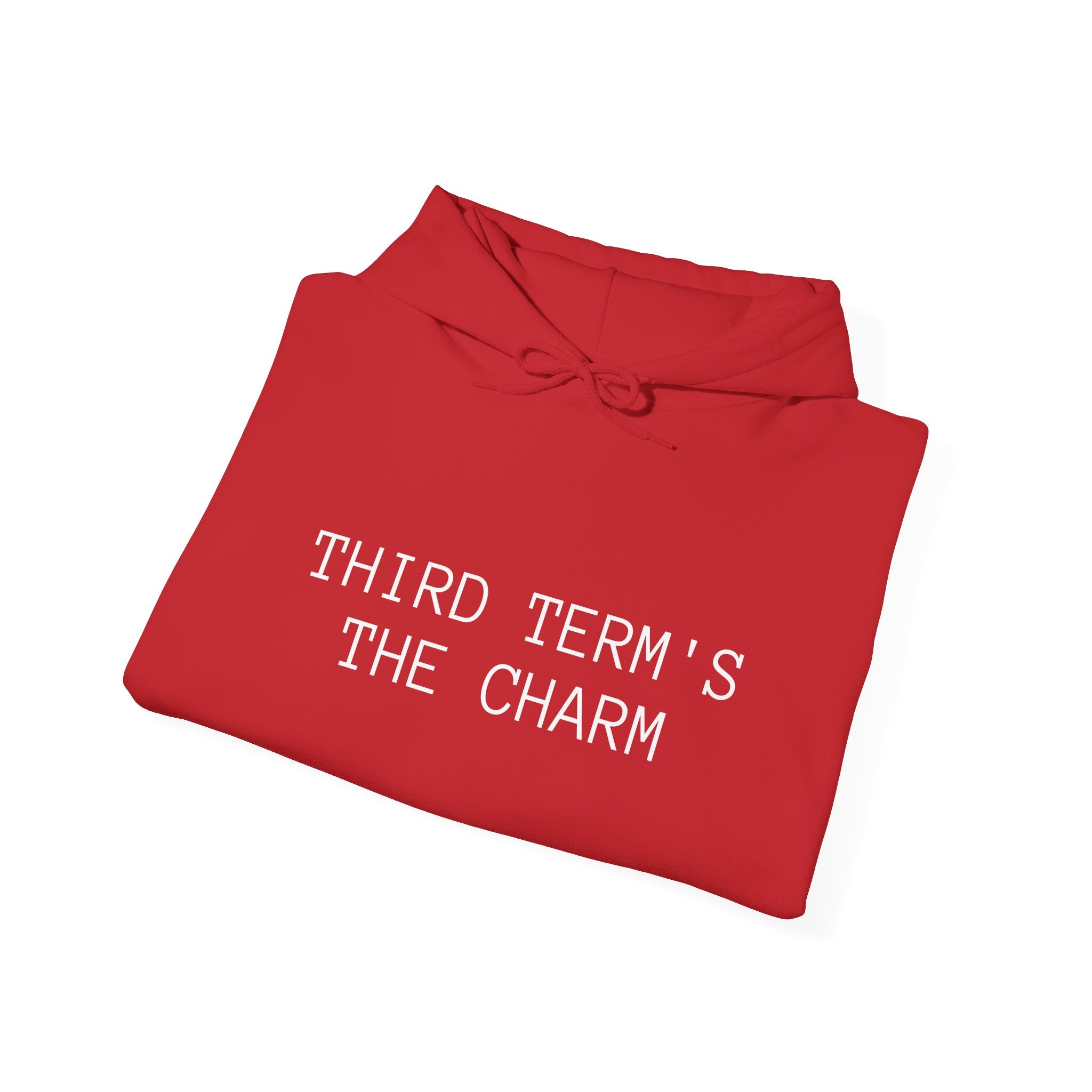 THIRD TERM’S THE CHARM - Hoodie
