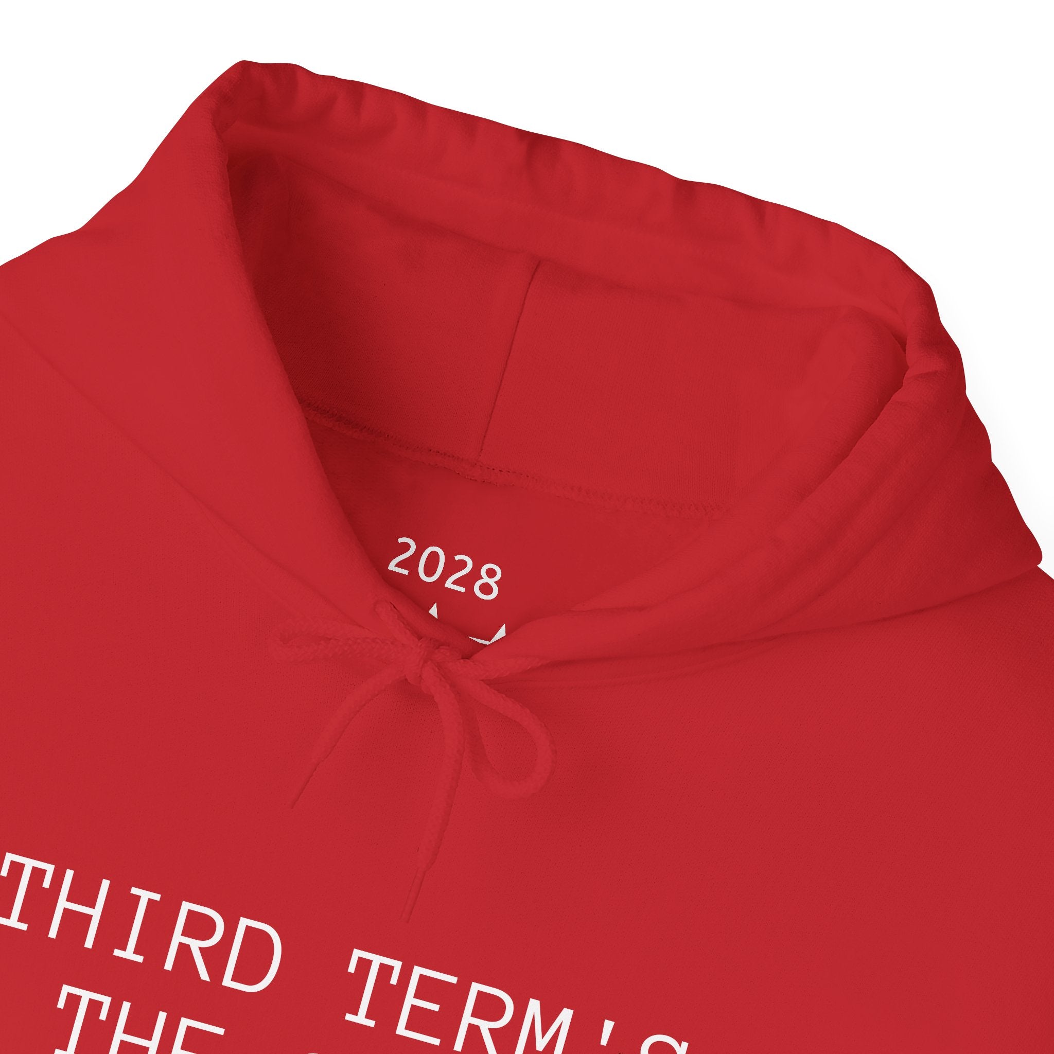 THIRD TERM’S THE CHARM - Hoodie