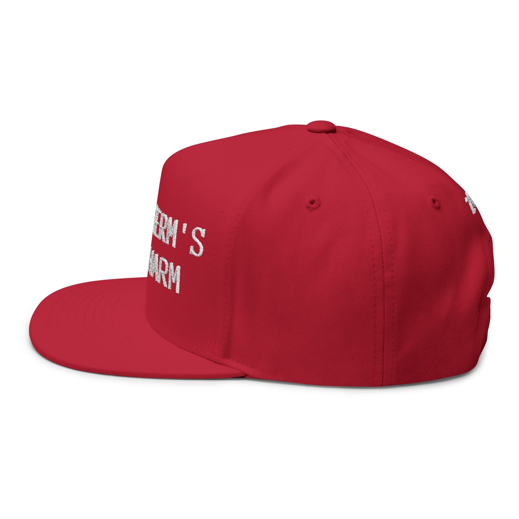 THIRD TERM’S THE CHARM - Hat